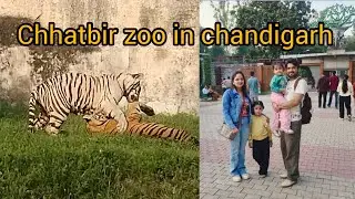 Chhatbir zoo in chandigarh | ticket price | chandigarh zoo 