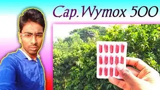 Capsule Wymox 500 Review Bengali.