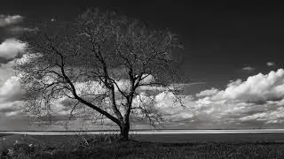 Ambient Evolution-  Ambient take XVV- 