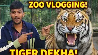 Part 1 of visiting a zoo and full of masti 😊💯 #saurabh #vlog #trending #zoo 