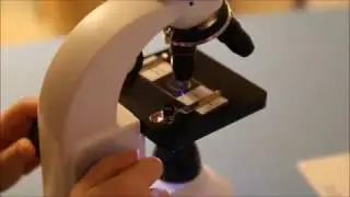 My First Lab Duo-Scope Microscope - MFL-06
