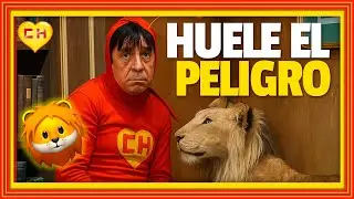 El Chapul&iacute;n Colorado busca al MISTERIOSO LADR&Oacute;N de ostentoso ANILLO