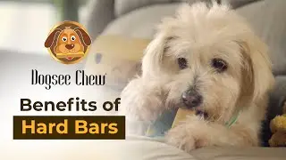 Benefits of Dogsee Chew Himalayan Cheese Chew Hard Bars (Chinese Version)