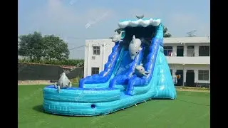 Dolphin inflatable water slide for sale
