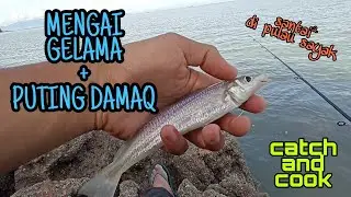 #EP550 Baling Sentak! Baling Sentak! - mancing ikan gelama di Pulau Sayak
