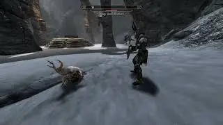 Skyrim Forsworn briar heart VS Draugr Death Overlord plus Skeletons