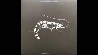 Ebi - Space Teddy Collection ( Vinyl )