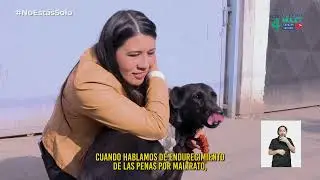 Cuidado Animal -  Franja Jaime Mulet - Cap&iacute;tulo 15 - Vota 4