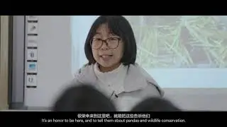 Airbnb Partners Chengdu Research Base of Giant Panda Breeding