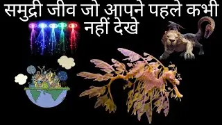 समुद्री जीव जो आपने कभी नहीं देखे || TOP 9 UNSEEN SEA CREATURES|| THE CROWN KAAL👑|| #Top9