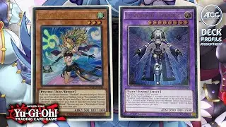 Yu-Gi-Oh! BRANDED SHADDOLL Deck Profile (COMPETITIVE) - March 2023!!