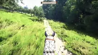 KCD2-Hardcore- All negative perks-evil playthrough