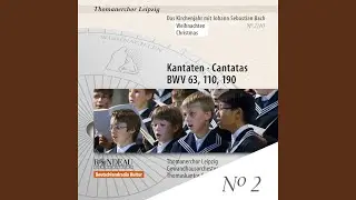 Unser Mund sei voll Lachens, BWV 110: Ach Herr, was ist ein Menschenkind