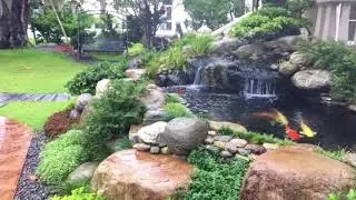 SÂN VƯỜN & HỒ KOI NHÀ CHỊ THẠCH KHU BIỆT THỰ CHATEAU PMH Q7 NGÀY 18/6/2018