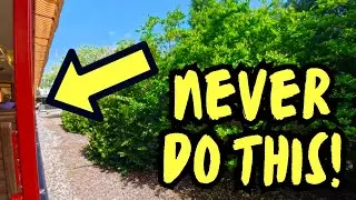 Guest Jumps From Moving Train! 🚫 Walt Disney World Railroad | June 2025