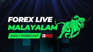 Learn Forex trading from LIVE
