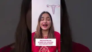 Does your Vagina Smell?