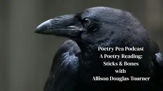 A Poetry Reading with Canadian Poet Allison Douglas Tourner