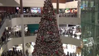 Shopping RioMar Recife: Maior &aacute;rvore de natal de shopping do Brasil