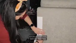 Teegan Tapes Cat Training Tape