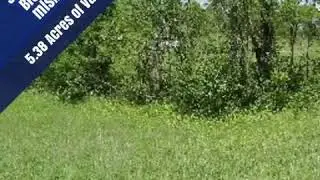 3359 Island Rd., Blountville TN