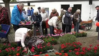 Balkonpflanzenverkauf bei der WEWOBAU
