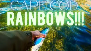Good day of Trout fishing a NEW LAKE on Cape Cod