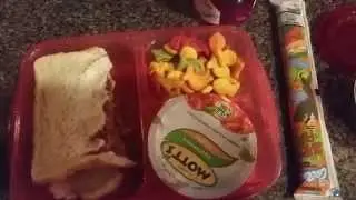 Typical Lunch for First-Grader!