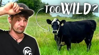 Она приехала с ранчо BUCKING BULL и просто сошла с ума, как только попала сюда!