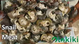 How To Process and Clean Snail Meat
