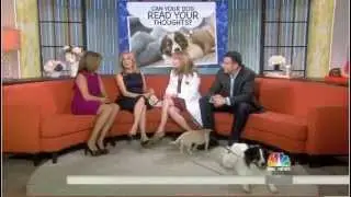 Can dogs read our facial expressions. Dave Donnenfeld on the Today Show explains how they can.