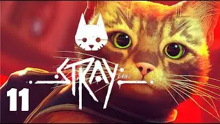 PRISON BREAK - Stray Gameplay Part 11 FULL GAME [4K 60FPS PS5]