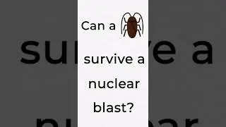 Can a 🪳 survive a nuclear blast? #ytshorts #subscribe #science #physics #nuclearphysics