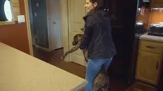 4 MONTH ACL UPDATE