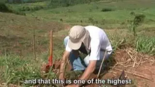 Replanting a Rainforest - Restoring Natural Springs in Brazil