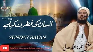 انسان کی فطرت کیا ہے/سماعت فرمائیں حضرت مولانا مفتی حماد اللّٰه مدنی صاحب کی زبانی/ Hammad madni
