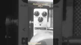 #shorts - Kokko Compressor All Flat