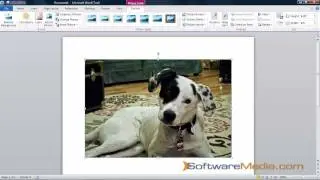 Учебное пособие по интерфейсу Ribbon в Microsoft Word 2010