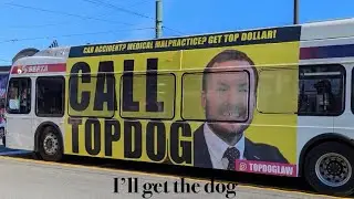 Top Dog Law - I will get that cat, I&rsquo;ll get a dog - January 19. 2026