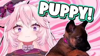 Nyanners shows off her DOG TRAINING skills