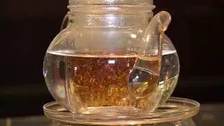Coffee and Tea | Straight Talk MD with Dr. Brandy Patterson