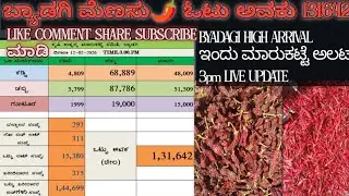 BYADGI APMC MARKET REPORT 12-02-2026 | ಬ್ಯಾಡಗಿ ಮೆಣಸು ಬೆಲೆ ಇಂದು | 3PM LIVE UPDATE