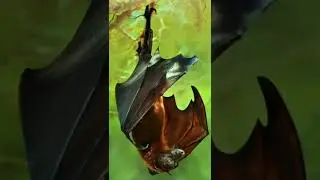 Microbat (Like vs Dislike)