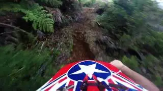PURRANQUE DH INSANITY RIDERS