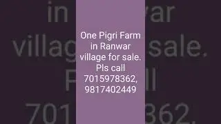 One Pigri Farm for sale in Ranwar village, Karnal. Pls call 7015978362,  9817402449