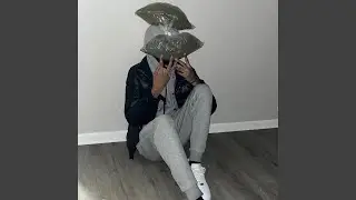 4 The Betta