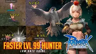 Hunter Guide - Ragnarok PreRenewal