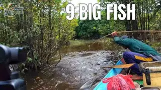 HAMPIR SETAHUN TIDAK TERJAMAH IKAN  MONSTER DISINI BERTARING SEMUA
