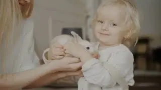Training your Rabbit or Bunny.  #bunny #bunnytraining #rabbit #rabbittraining #pet #pettrainingtips