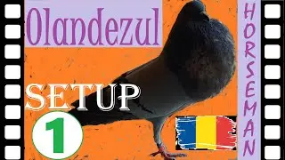 ZuriteRo in Setup - STEP 1